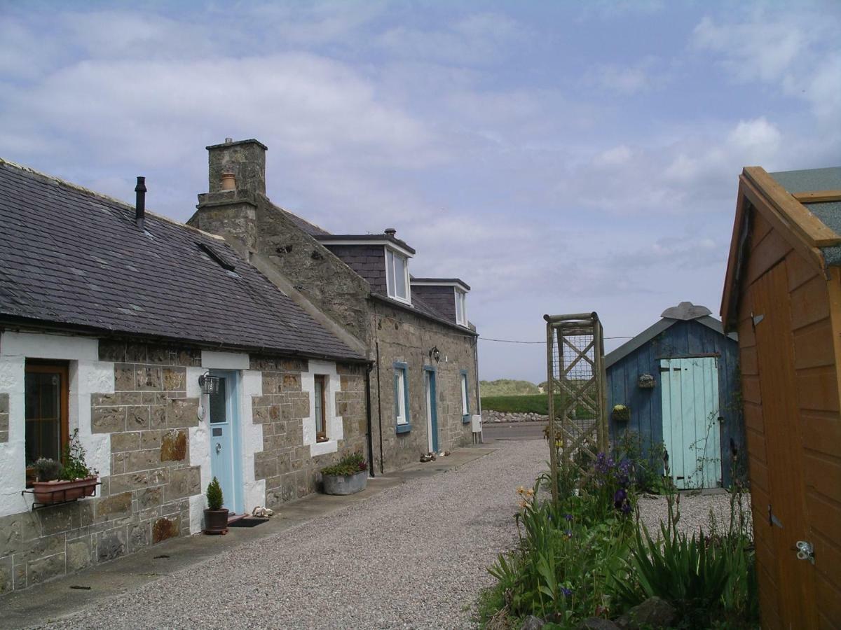 6 Seatown, Lossiemouth Exteriör bild
